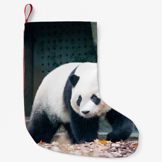 歩くパンダコンクリート建物 スモールクリスマスストッキング (正面)