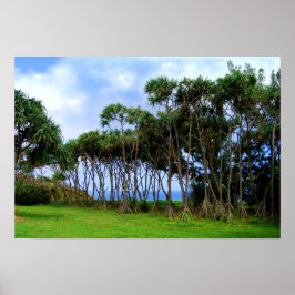 歩くパームツリーズインハワイ ポスター