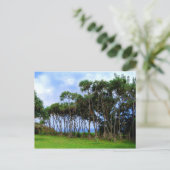 歩くパームツリーズインハワイ ポストカード (スタンド正面)