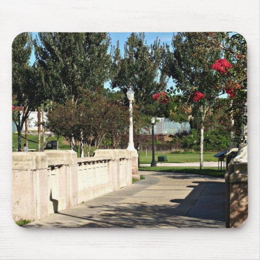 歩くブリッジのまわりにレイク鏡 マウスパッド (正面)