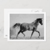 歩くホースブラック&ホワイト ポストカード (正面/裏面)