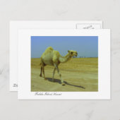 歩くロングロード – ラクダ島のフェイヤカアイランド ポストカード (正面/裏面)