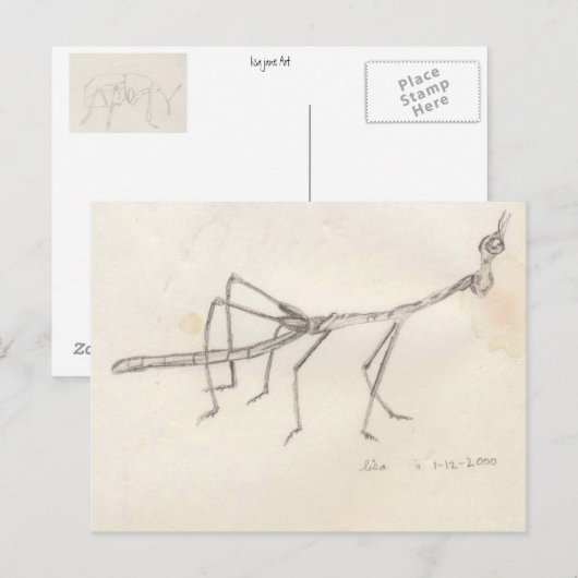 歩く棒昆虫 ポストカード (正面/裏面)