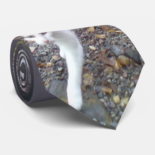 歩く猫 ネクタイ (ロール)