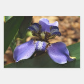 歩く虹彩包み紙 ラッピングペーパーシート (正面2)