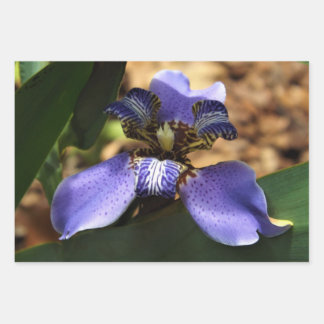 歩く虹彩包み紙 ラッピングペーパーシート