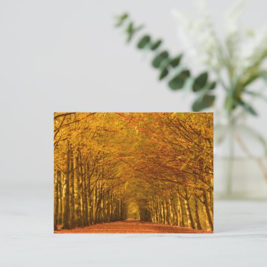 歩く道秋葉書 ポストカード (スタンド正面)