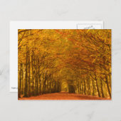 歩く道秋葉書 ポストカード (正面/裏面)