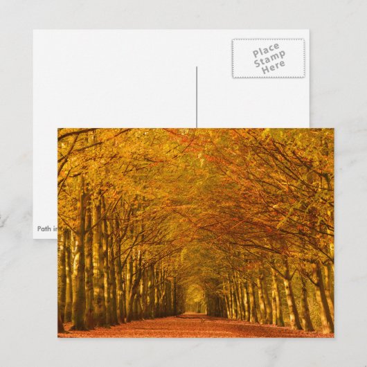 歩く道秋葉書 ポストカード (正面/裏面)