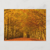 歩く道秋葉書 ポストカード (正面)