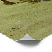 歩く長路 – フェラカ島のラクダ ポスター (角)