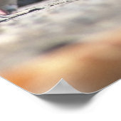 歩く鳩 ポスター (角)