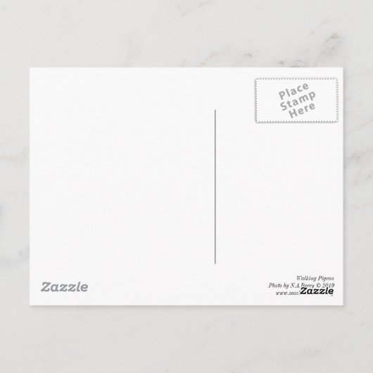 歩く鳩 ポストカード (裏面)