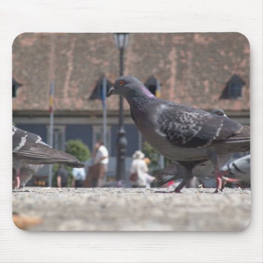歩く鳩 マウスパッド (正面)