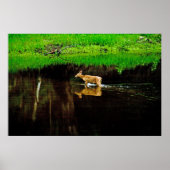 歩く鹿 ポスター (正面)