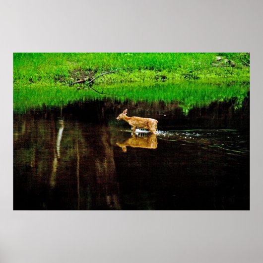 歩く鹿 ポスター (正面)