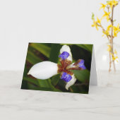 「歩く・アイリス」 グリーティングカード (黄色い花)