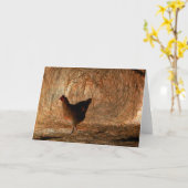 "歩く" – デジタル強化フォトチキン&干し草 カード (黄色い花)