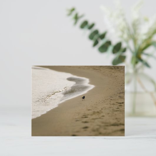 歩く ポストカード (スタンド正面)