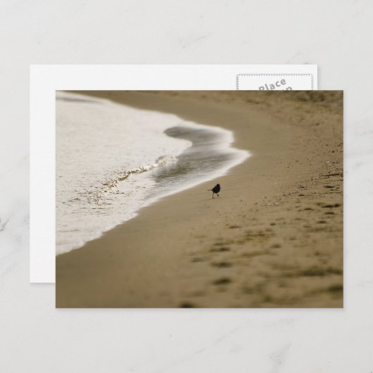 歩く ポストカード (正面/裏面)