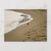 歩く ポストカード (正面)