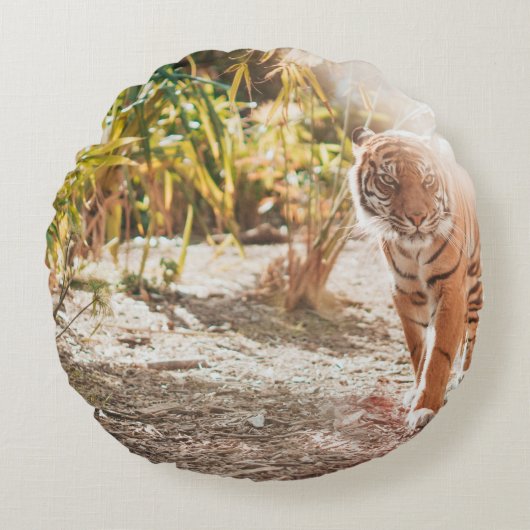 歩く ラウンドクッション (正面)