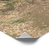 歩く（竹） ポスター (角)