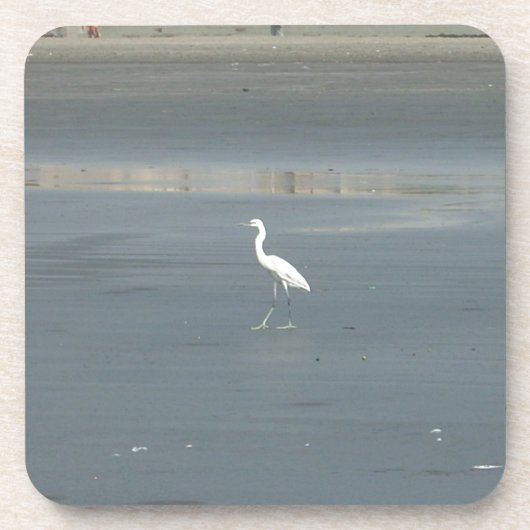 歩くsolo.JPG コースター (正面)