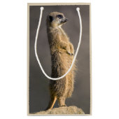 歩哨ギフトバッグ スモールペーパーバッグ (裏面)