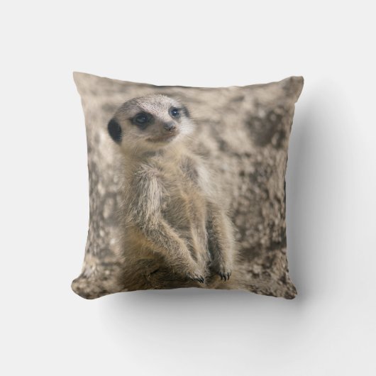 歩哨訓練の枕 クッション (正面)