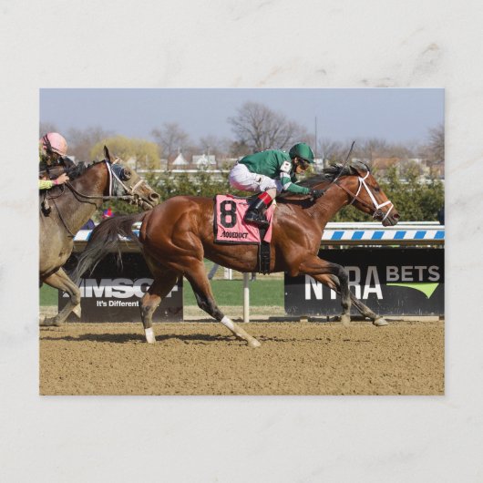 歩幅 ポストカード (正面)