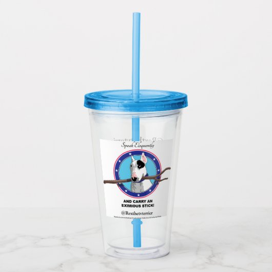 歩行のそっと絶縁されたコップ アクリルタンブラー (正面)