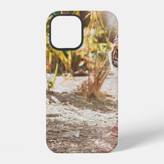 歩行ジェスチャーのブラウンタイガー iPhoneケース (裏面)