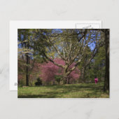 歩行 ポストカード (正面/裏面)