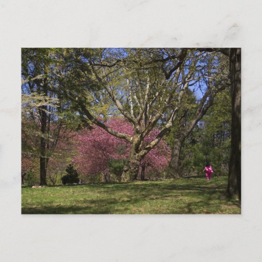 歩行 ポストカード (正面)