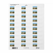 歩道からビーチ ラベル (フルシート)