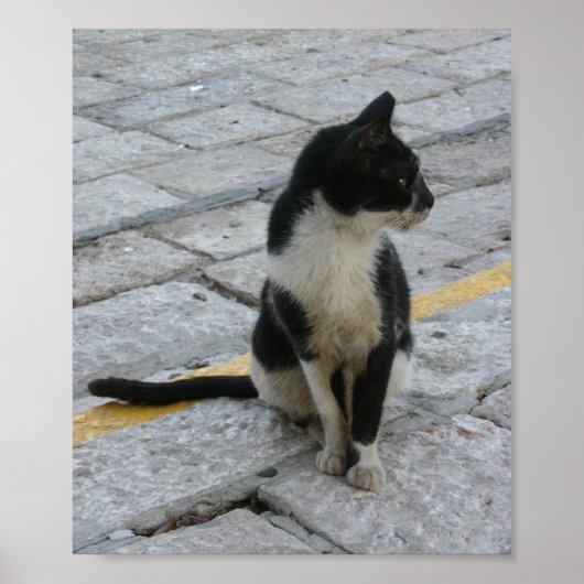 歩道で猫を飼う ポスター (正面)