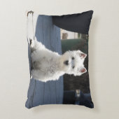 歩道に坐る白い西の高地テリア アクセントクッション (正面(垂直))