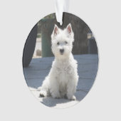 歩道に坐る白い西の高地テリア オーナメント (正面)