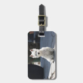 歩道に座っているホワイトウエストハイランドテリア ラゲッジタグ (正面縦)