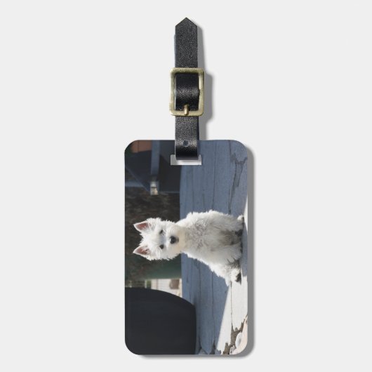 歩道に座っているホワイトウエストハイランドテリア ラゲッジタグ (正面縦)