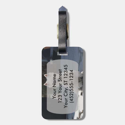 歩道に座っているホワイトウエストハイランドテリア ラゲッジタグ (裏面縦)