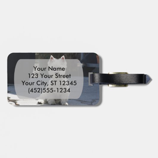 歩道に座っているホワイトウエストハイランドテリア ラゲッジタグ (裏面横)