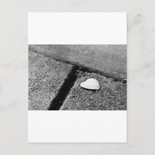 歩道のシルバーハート ポストカード (正面)