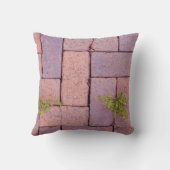 歩道の写真に石や雑草を舗装 クッション (裏面)