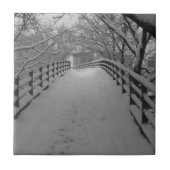 歩道橋 タイル (正面)