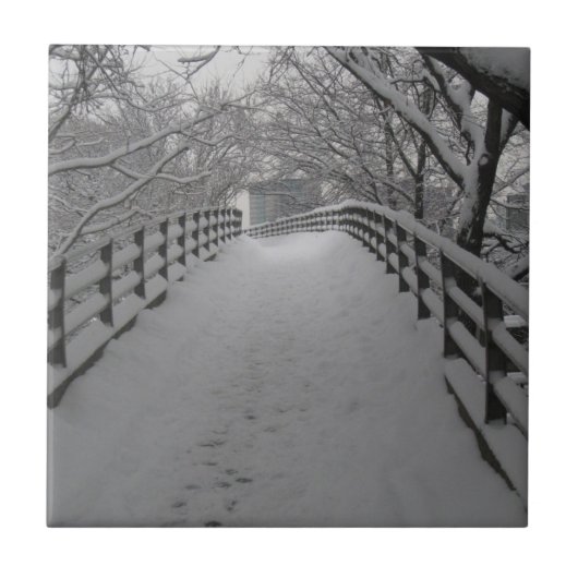 歩道橋 タイル (正面)