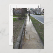 歩道（湿地） ポストカード (正面/裏面)