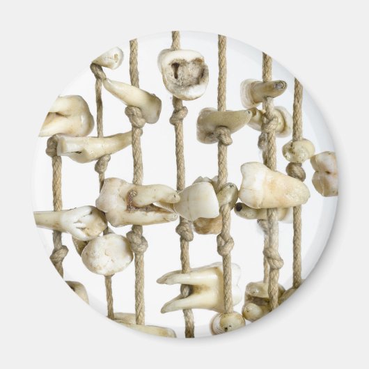 歯おもしろい歯歯科医院 マグネット (正面)