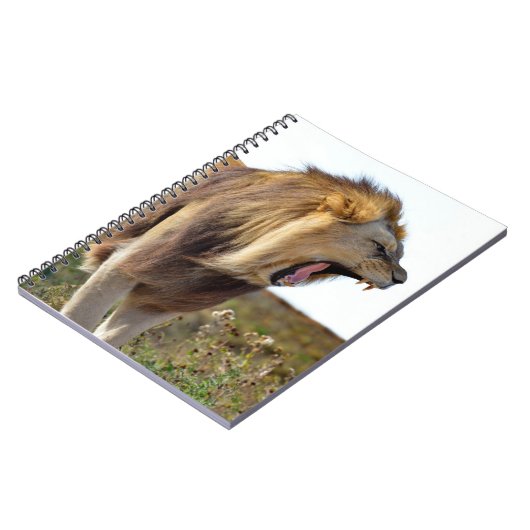 歯ぎしり ノートブック (左側)